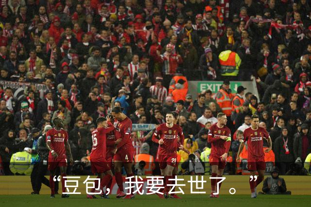 “豆包，我要去世了。”