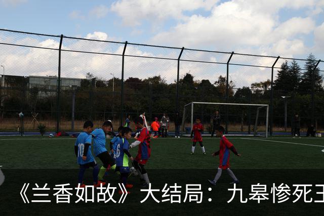 《兰香如故》大结局：九皋惨死玉蝉守寡，小莲才是终极赢家