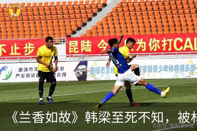 《兰香如故》韩梁至死不知，被林锦岐抢婚，才是许兰香全家保命符
