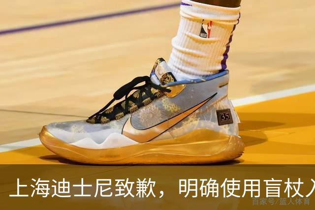 上海迪士尼致歉，明确使用盲杖入园无须报备