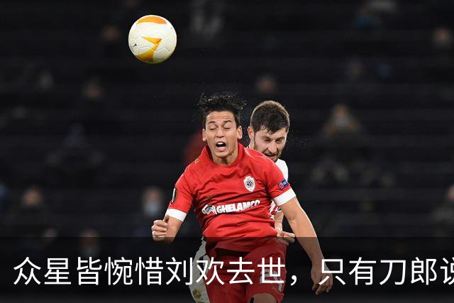 众星皆惋惜刘欢去世，只有刀郎说得一针见血