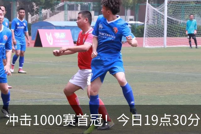 冲击1000赛首冠！今日19点30分中网决赛 郑钦文PK安德列娃