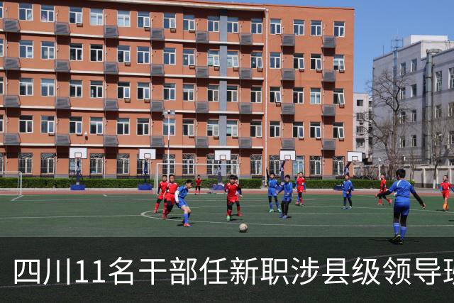 四川11名干部任新职涉县级领导班子