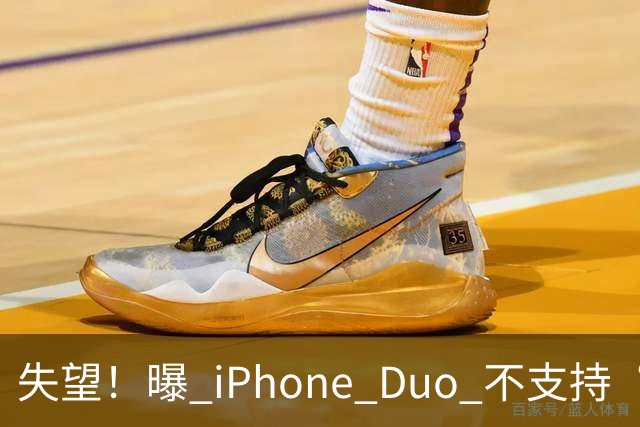 失望！曝 iPhone Duo 不支持“双开微信”和“平板微信”