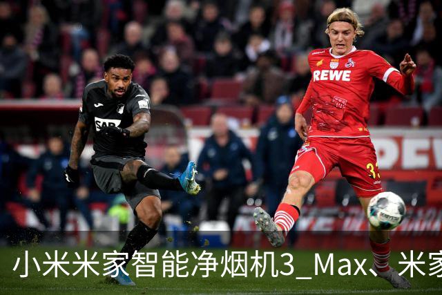 小米米家智能净烟机3 Max、米家定时燃气灶3 Max今日开售：国补价2299~4599元