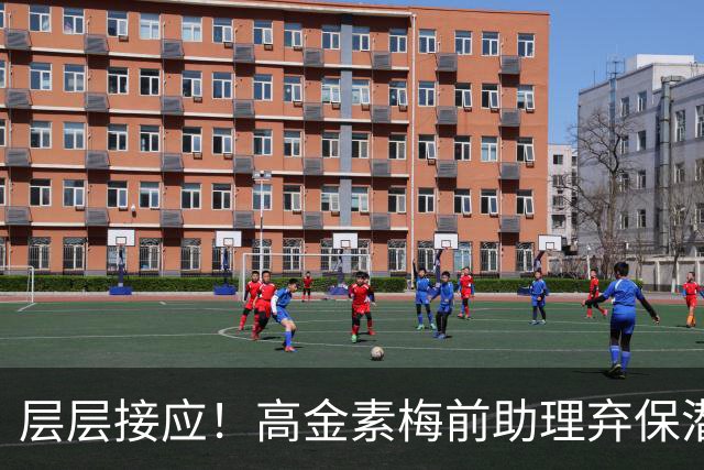 层层接应！高金素梅前助理弃保潜逃，第10名共犯落网，黑帮投案藏猫腻