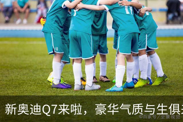 新奥迪Q7来啦，豪华气质与生俱来，配置一流动力澎湃