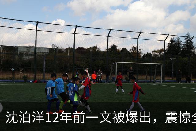 沈泊洋12年前一文被爆出，震惊全台，蒋万安祭杀招，要报妻儿之仇