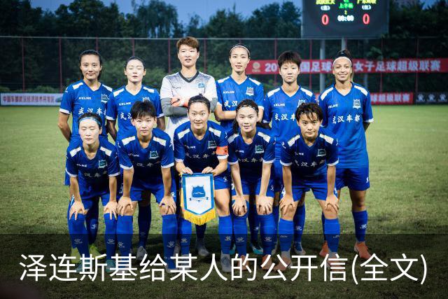 泽连斯基给某人的公开信(全文)