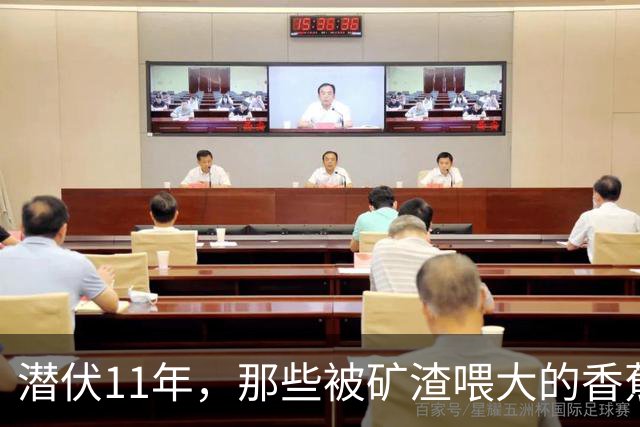 潜伏11年，那些被矿渣喂大的香蕉，终于开始“反噬”人类