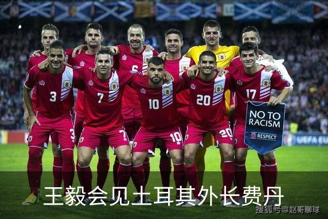 王毅会见土耳其外长费丹