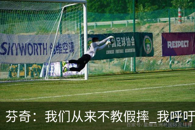 芬奇：我们从来不教假摔 我呼吁联盟停止纵容假摔
