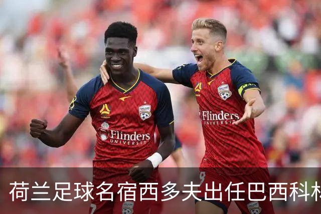 荷兰足球名宿西多夫出任巴西科林蒂安俱乐部主教练