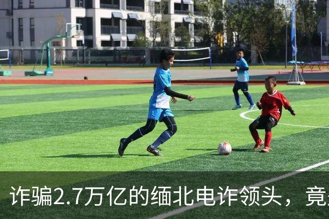 诈骗2.7万亿的缅北电诈领头，竟是女明星赵薇的小叔子，真的假的