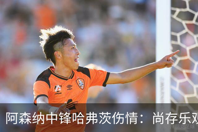 阿森纳中锋哈弗茨伤情：尚存乐观预期;待回到阿森纳,进行确认