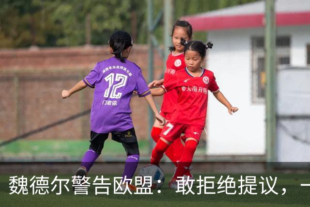 魏德尔警告欧盟：敢拒绝提议，一旦选择党上台，德国直接公投脱欧