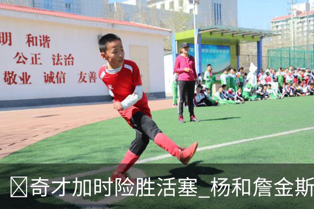 🏀奇才加时险胜活塞 杨&詹金斯遭驱逐 迪班萨14+7 浓眉10+11
