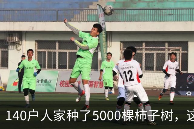 140户人家种了5000棵柿子树，这个浙江小村国庆6天来了8万人