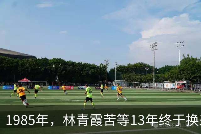 1985年，林青霞苦等13年终于换来一通电话，秦汉：琼瑶鼓励我去找你