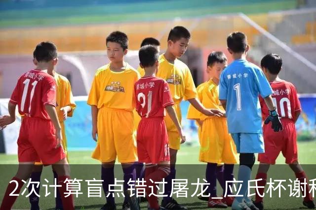 2次计算盲点错过屠龙 应氏杯谢科1点之差负一力辽